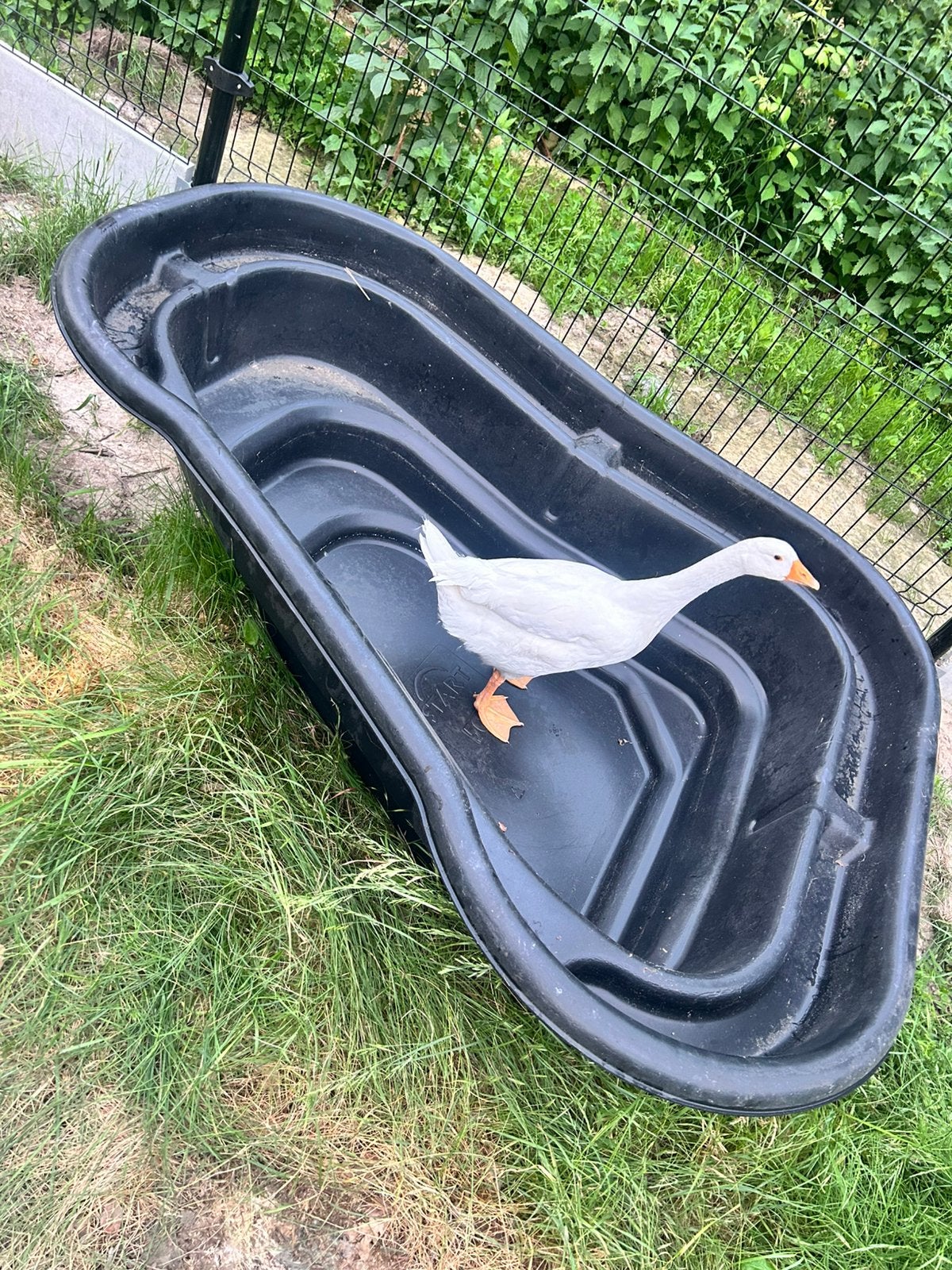 Vijver, Tuin en Terras, Vijvers, Ophalen, Zo goed als nieuw
