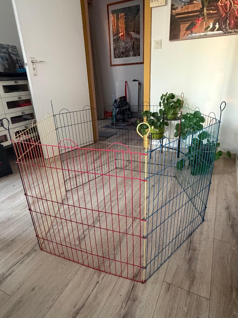 Cage à rongeurs, Ophalen, Kooi, Gebruikt, 60 tot 90 cm