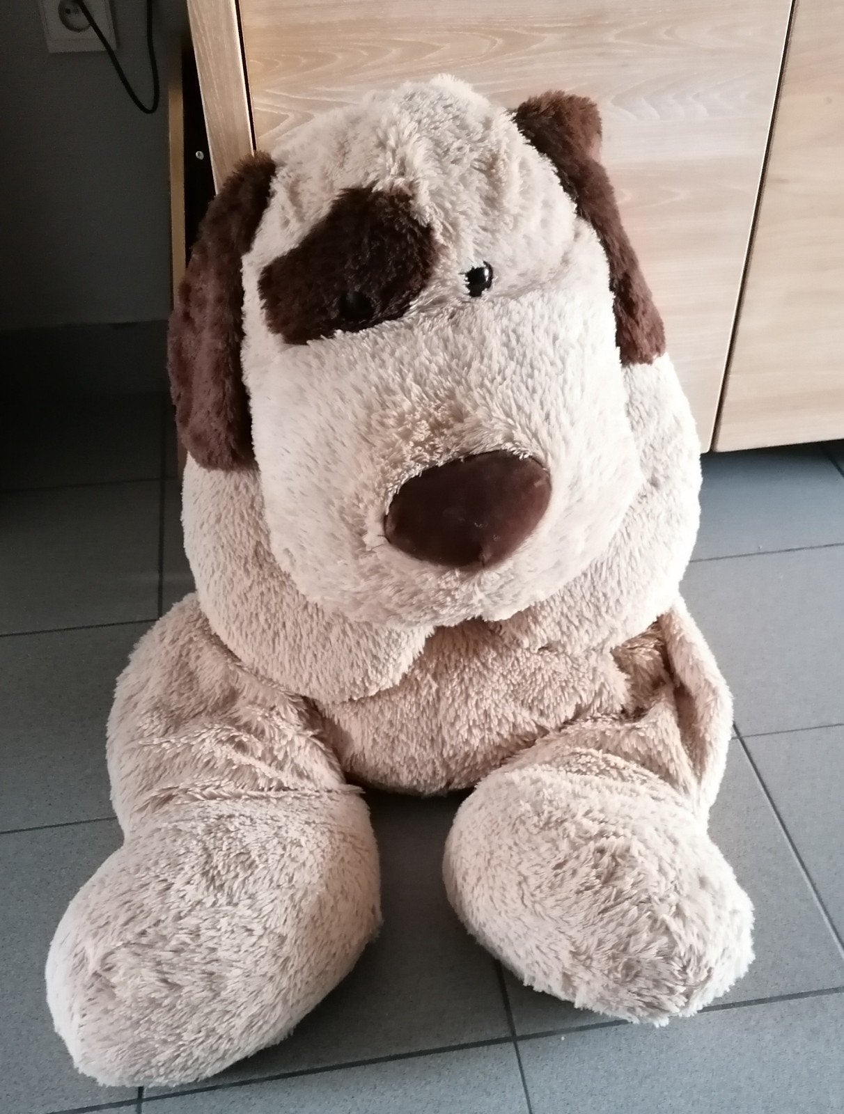 Heel grote knuffel (hond), Enlèvement, Chien