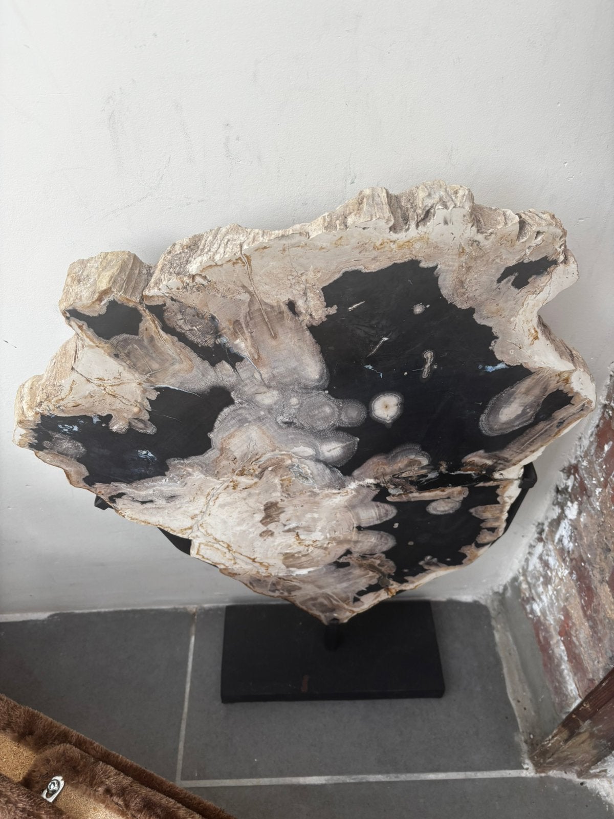 Agate et bois fosilise, Enlèvement, Utilisé, Autres types, Bois