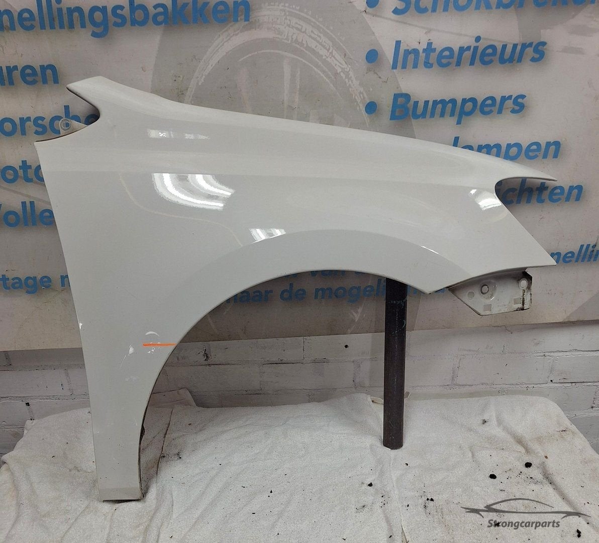 Voorscherm Spartbord VW Polo 6R rechts voor 6R0821106 ORIGIN, Volkswagen, -, Garde-boue, Utilisé