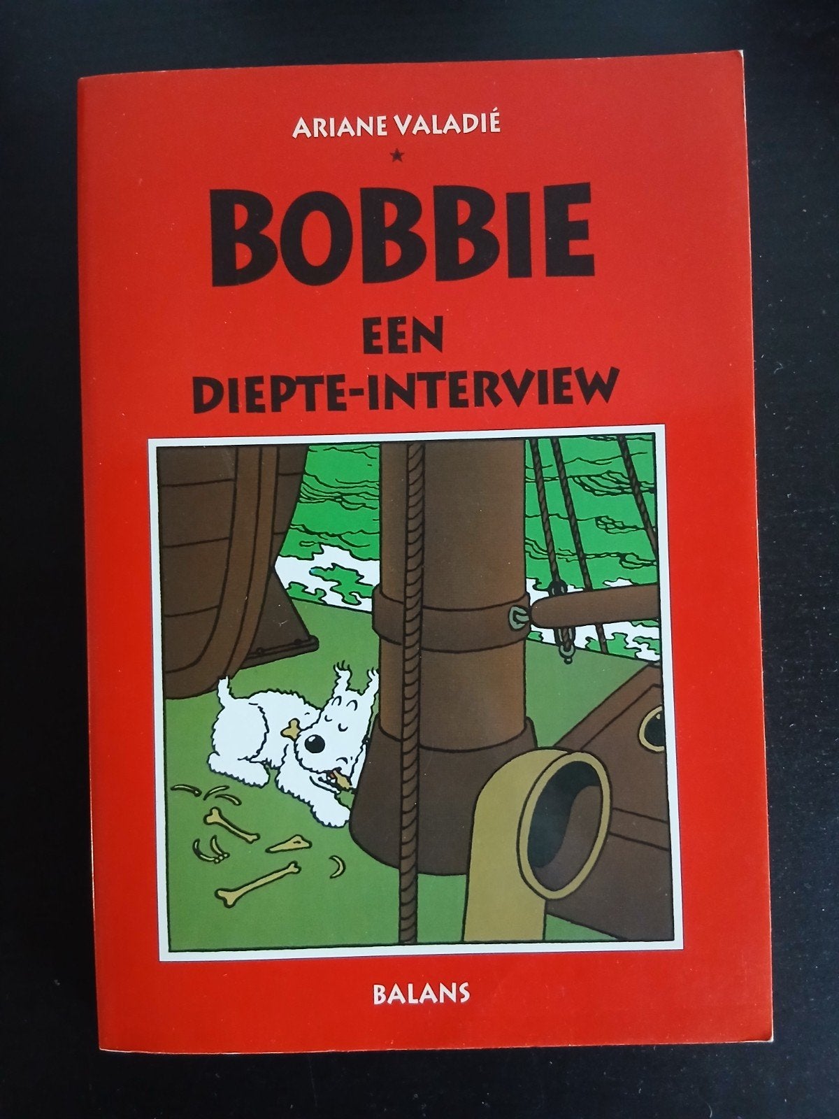 Bobbie een diepte-interview (Kuifje), Boeken, Ophalen of Verzenden, Zo goed als nieuw, Valadie
