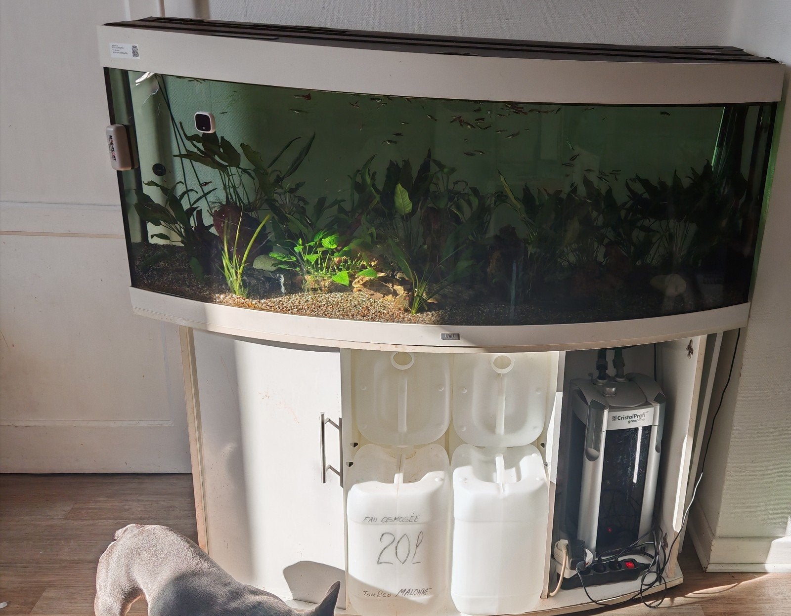 juwel vision de 450 litres, Ophalen, JBL