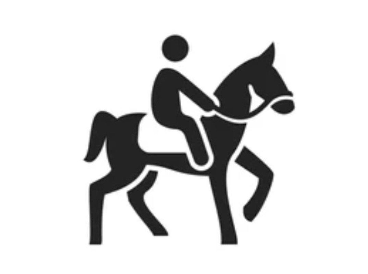 GEZOCHT: 3-JARIG PAARD, Animaux & Accessoires, Chevaux, Non dressé, 165 à 170 cm, Cheval de récréation, 0 à 2 ans