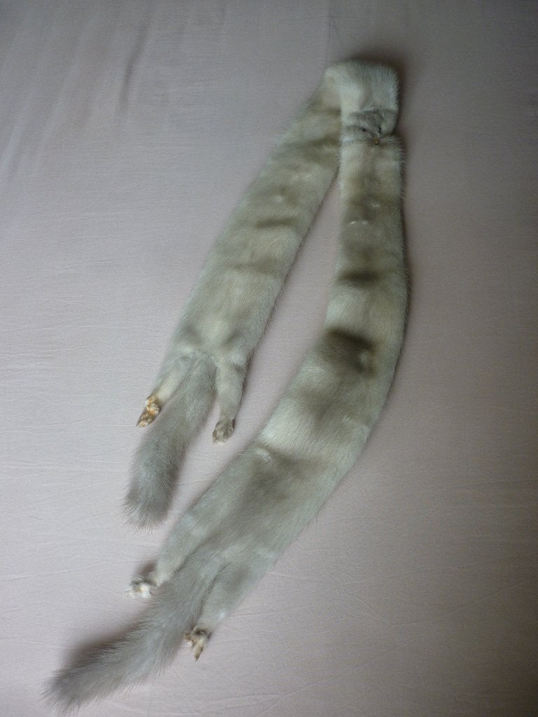 Sjaal uit Echt Nertsenbont, Maat 38/40 (M), Nieuw, Ophalen of Verzenden, Sjaal