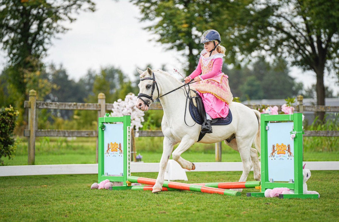 Super knappe Welsh ruin, Dieren en Toebehoren, Pony's, Ruin, B pony (1.17m tot 1.27m), 11 jaar of ouder, Recreatiepony