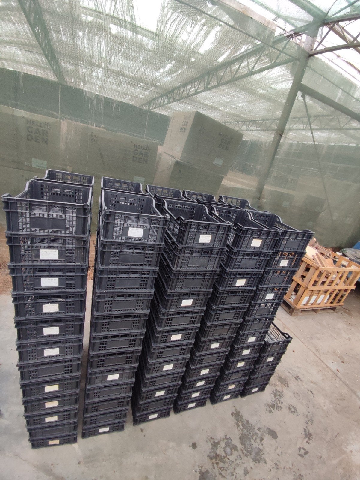 Partij nieuwe stapel bakken kratten bakjes, Ophalen, 40 tot 60 cm, Minder dan 50 cm, Krat