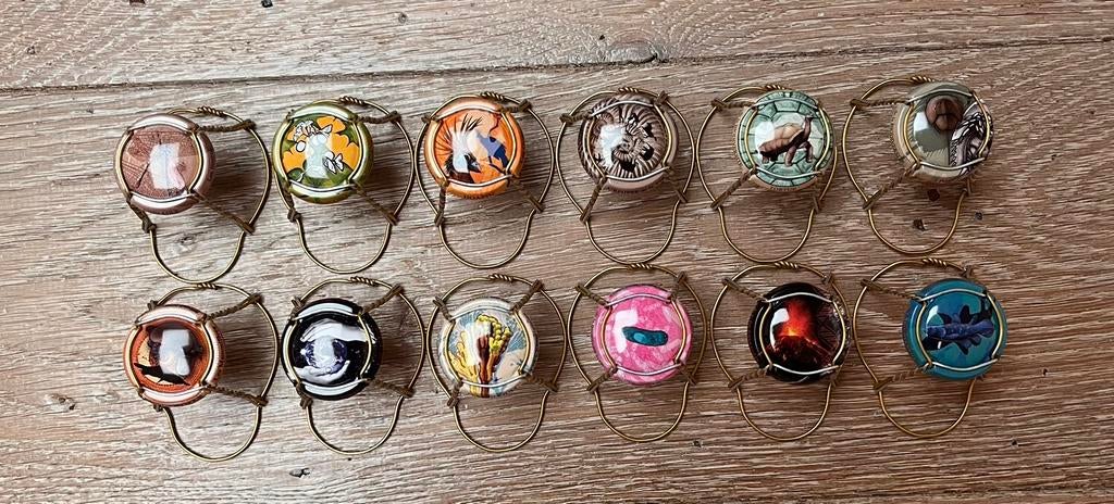 Volledige reeks 785 generieke champagnecapsules, Verzamelen, Ophalen of Verzenden