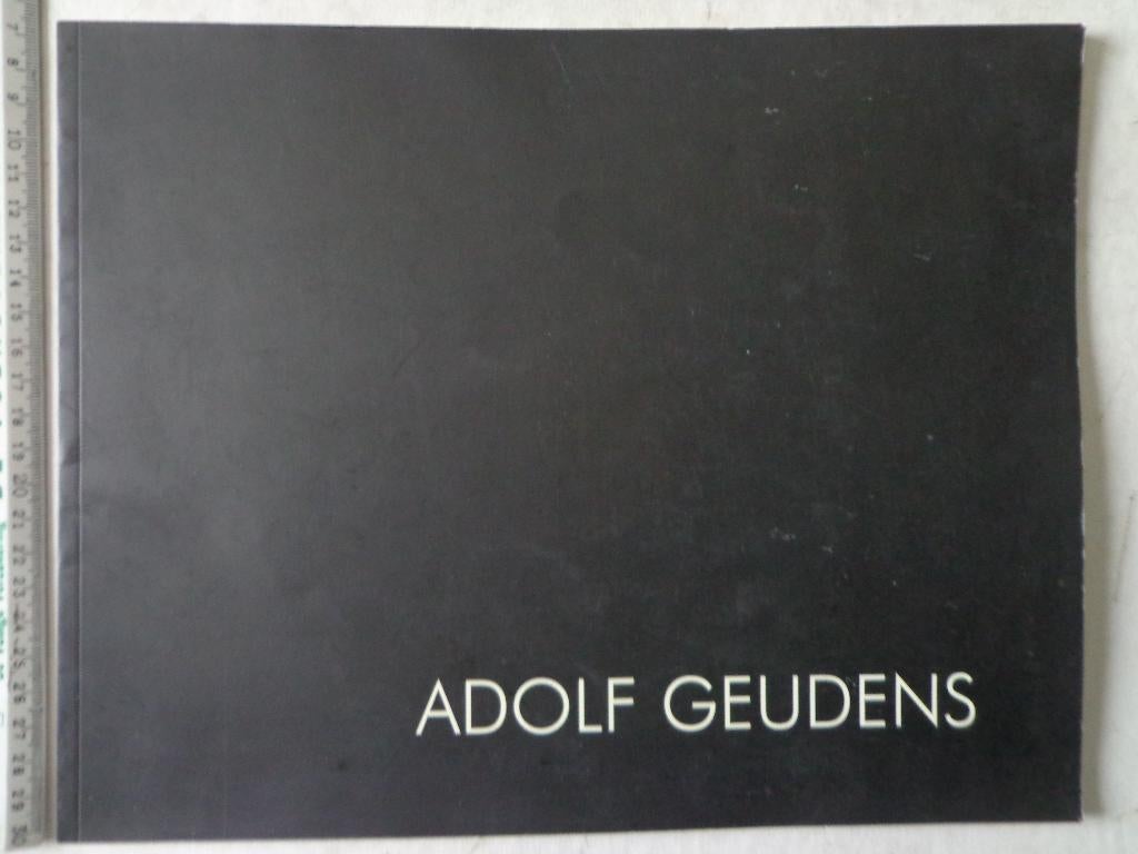 Kunstboek Adolf Geudens in Albemarle Gallery London 2002, Boeken, Kunst en Cultuur | Beeldend, Gelezen, Schilder- en Tekenkunst