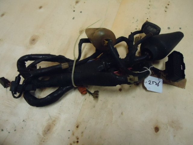 CBR600F 1999 - 2000 Honda Kabelboom Kabelboom hoofd D1-16741