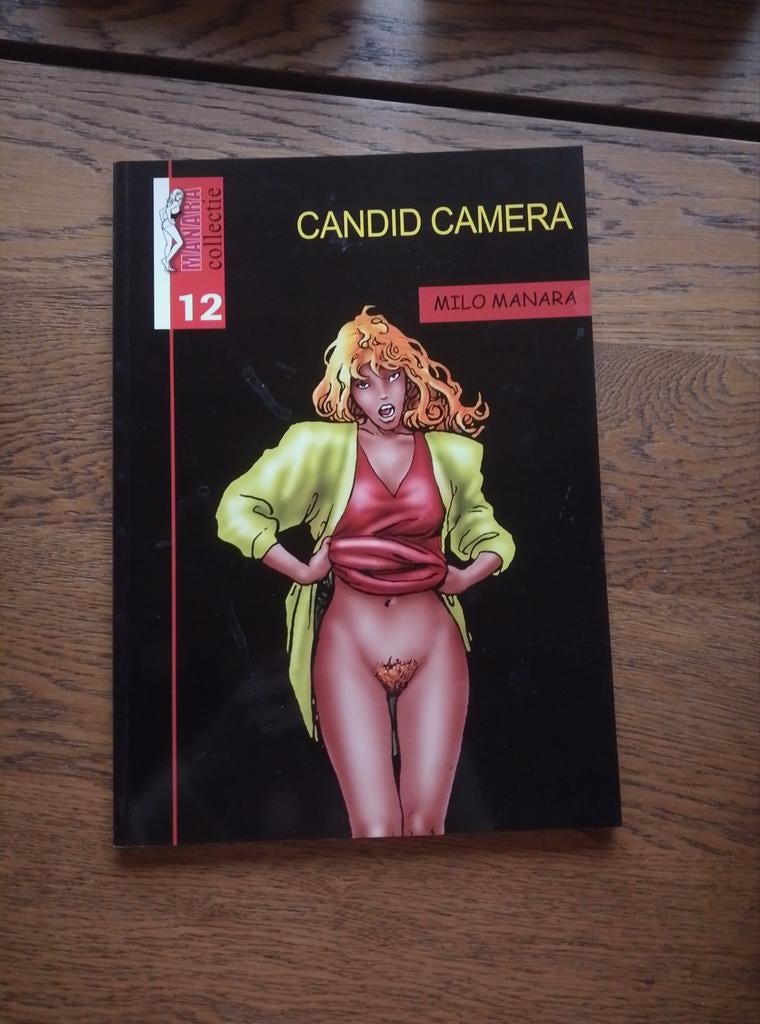 Manara collectie, Boeken, Ophalen