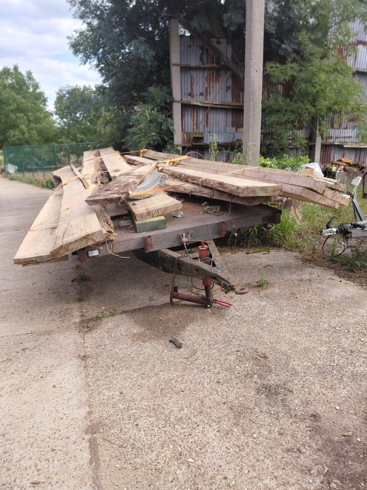 Stam hout, Tuin en Terras, Brandhout, Ophalen