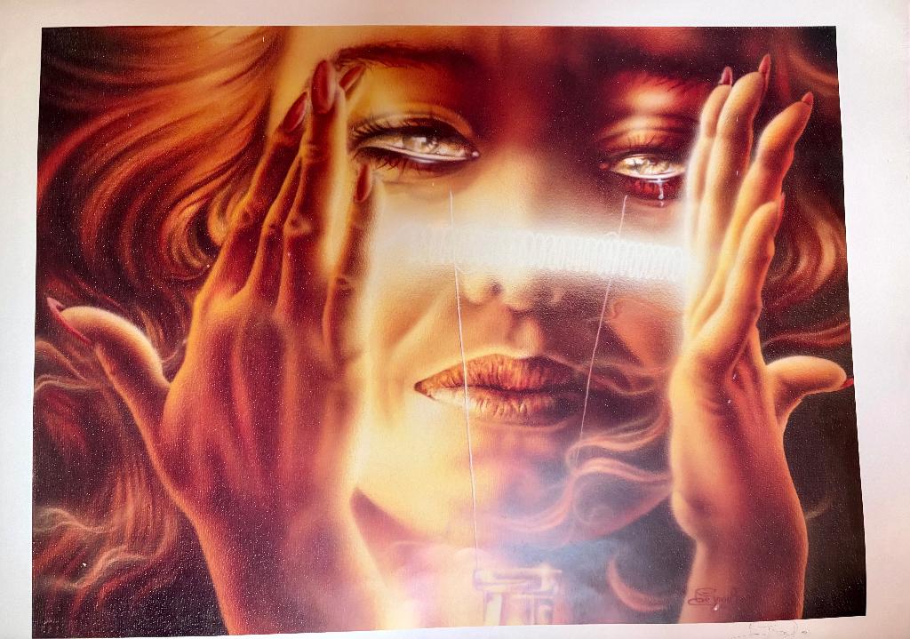 Zeefdruk Airbrush David de Graef, Verzenden