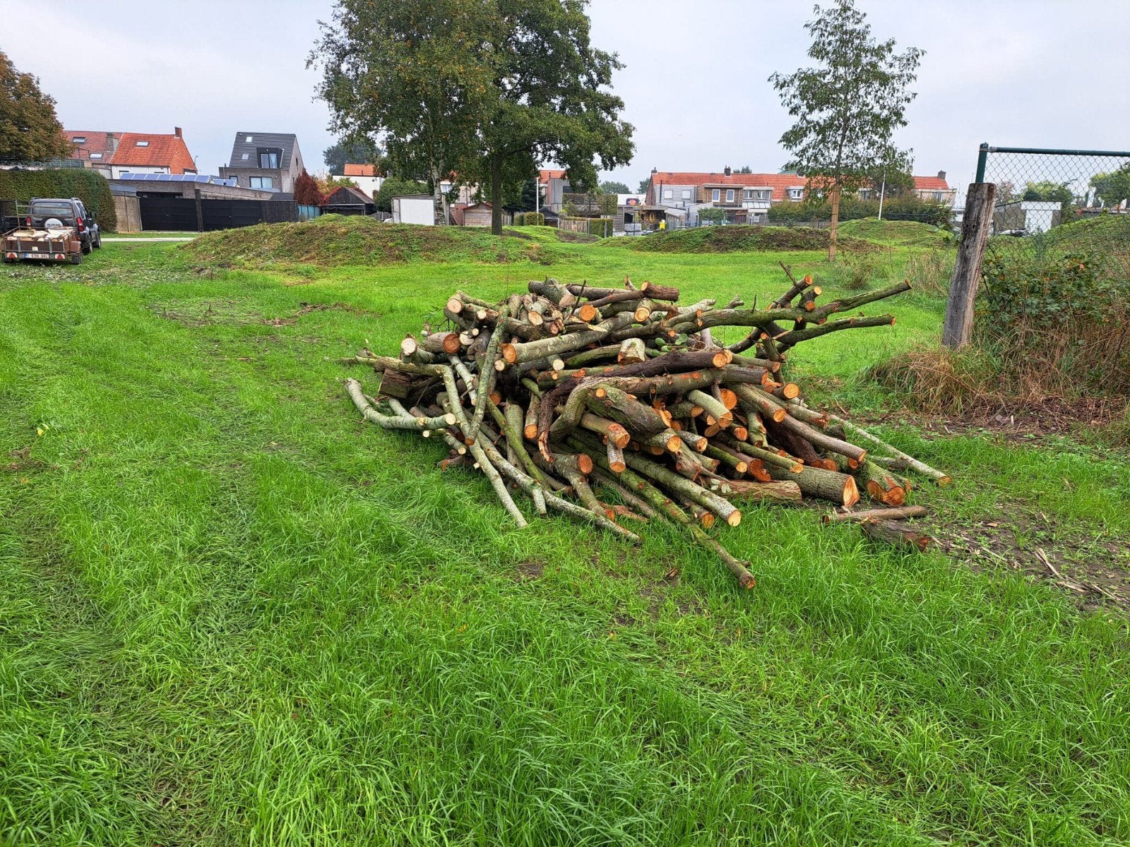 brandhout, Enlèvement