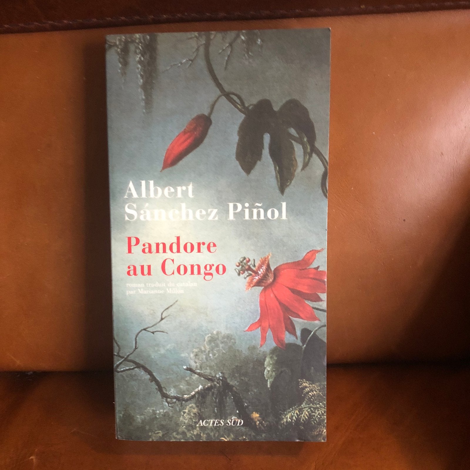 Pandore Au Congo - Albert Sànchez Piñol, Livres, Littérature, Enlèvement