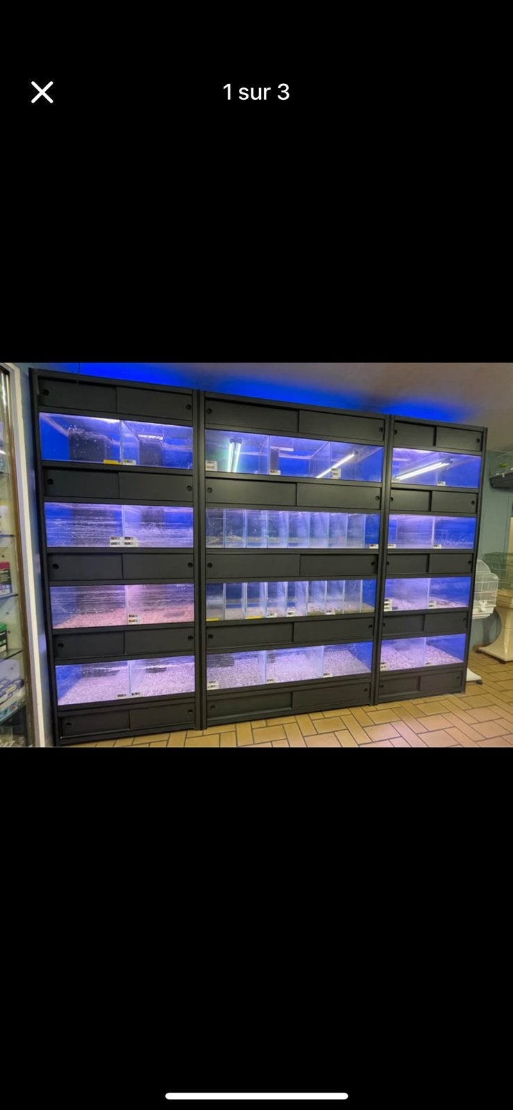 Batterie d’aquariums, Enlèvement, Utilisé