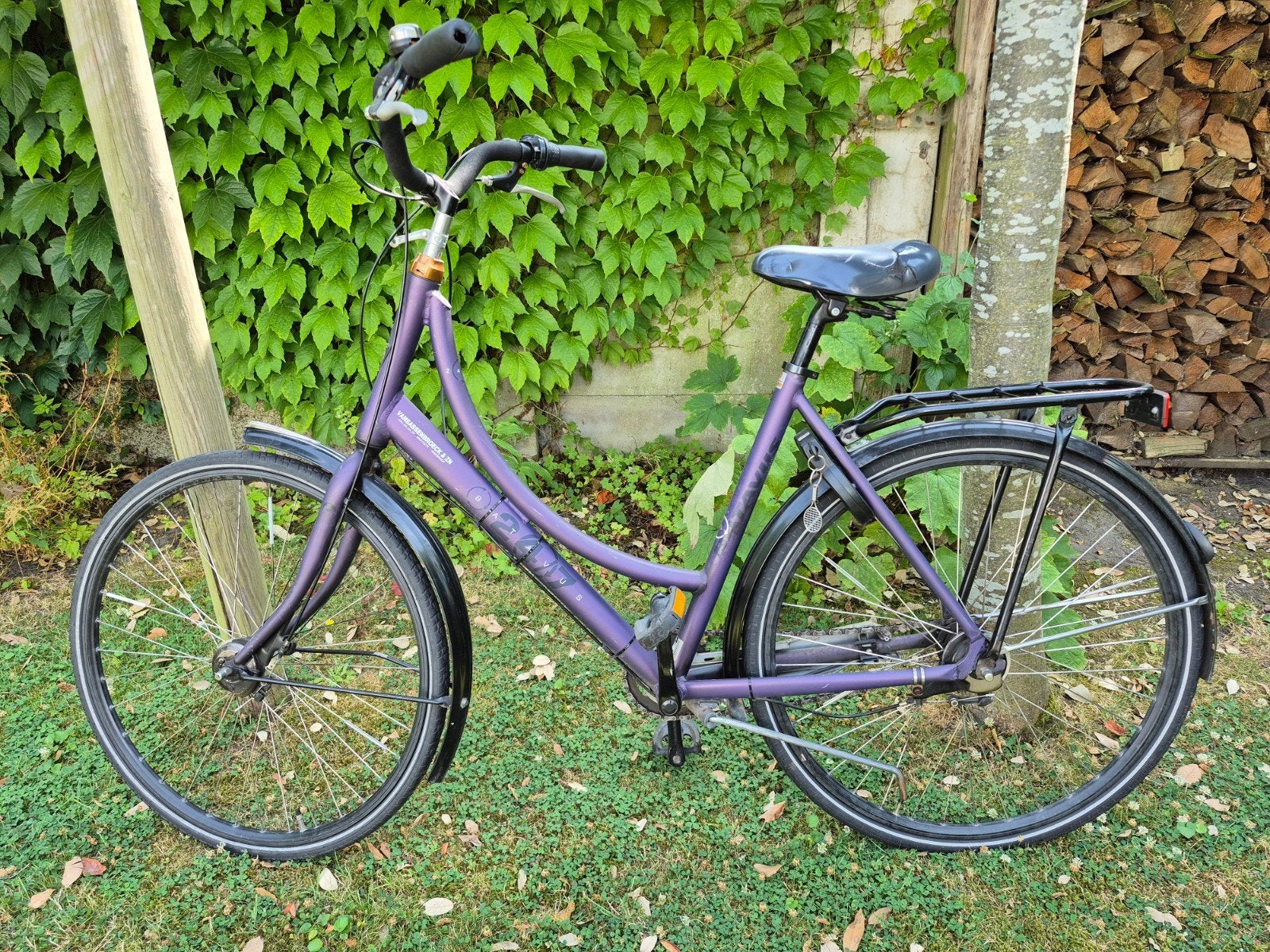 batavus fiets., Vélos & Vélomoteurs, Vélos | Femmes | Vélos grand-mère, Enlèvement