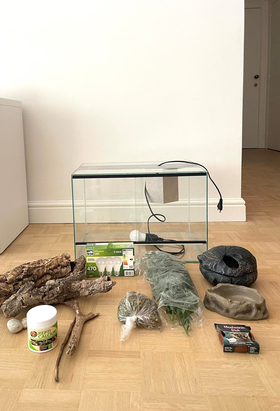 Boîte pour terrarium/reptiles et accessoires, Animaux & Accessoires, Enlèvement, Comme neuf