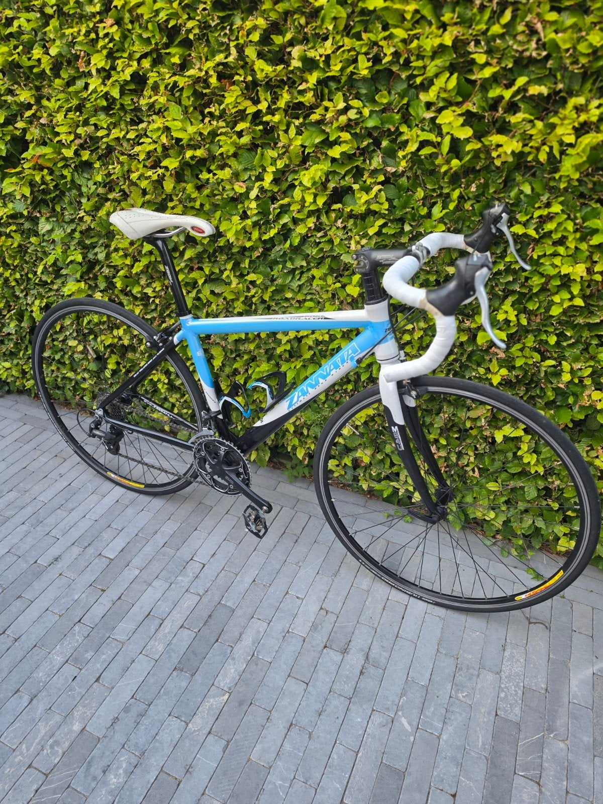 Racefiets Zannata maat 52, Ophalen