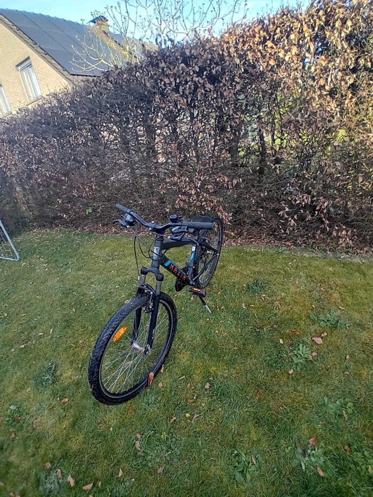 Mountainbike, Ophalen of Verzenden