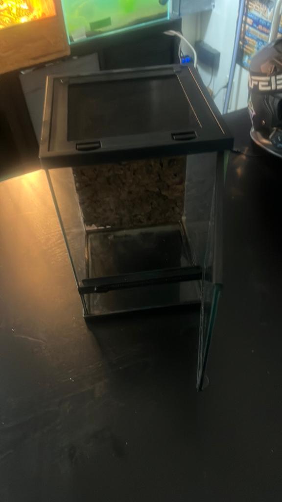 Terrarium, Enlèvement, Comme neuf