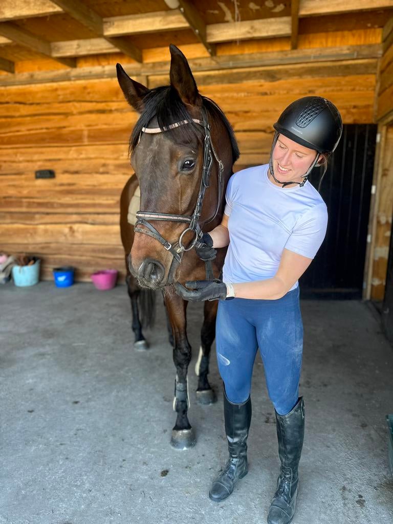 Fijne recreatie ruin, Animaux & Accessoires, Chevaux, Hongre, Débourré, 160 à 165 cm, 3 à 6 ans, Cheval de récréation