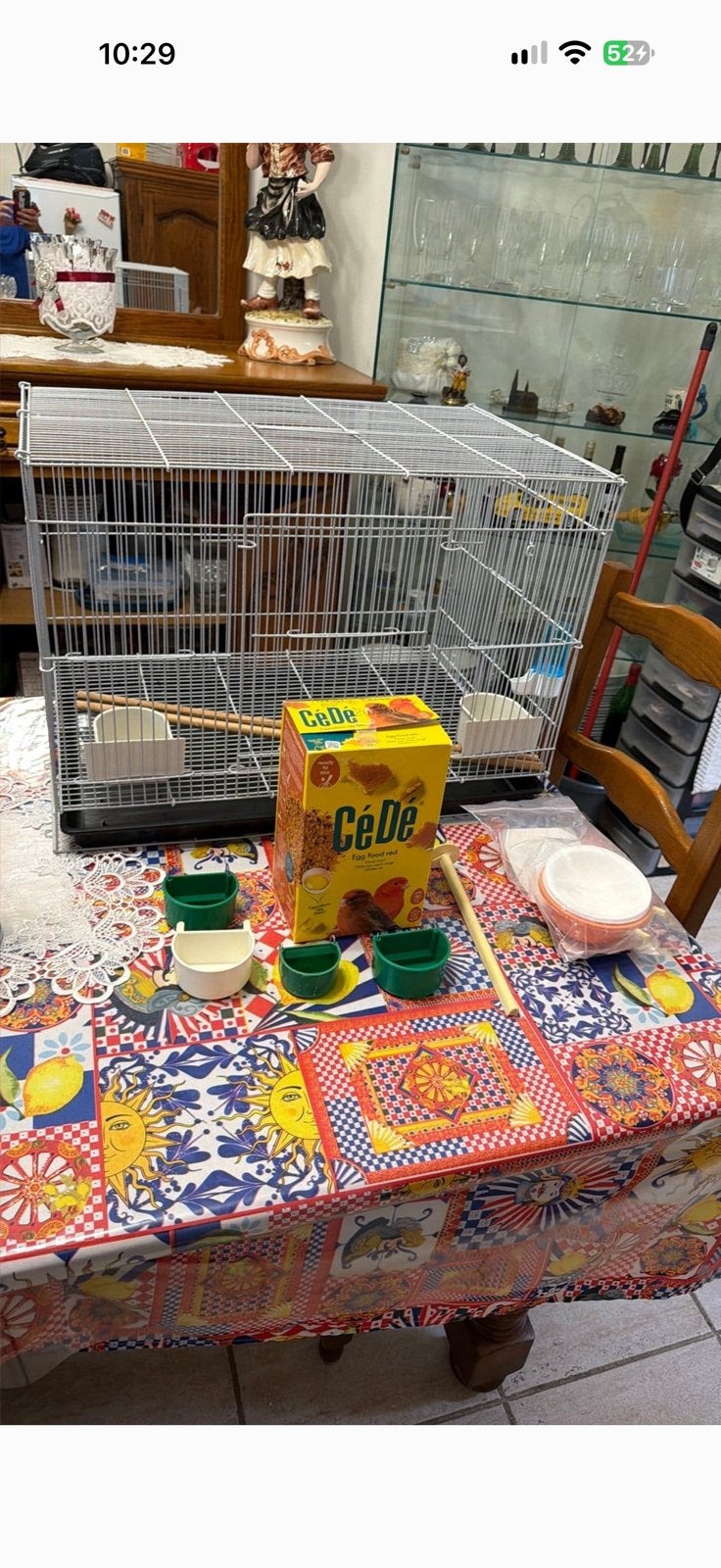 Cage, Animaux & Accessoires, Enlèvement
