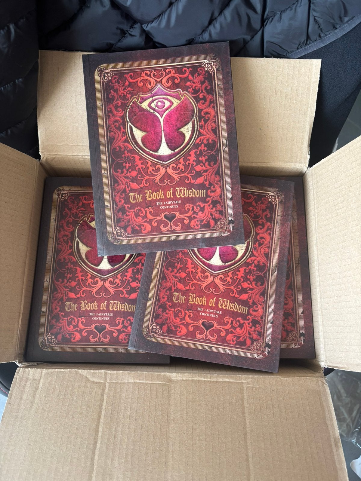Lot livre neuf Tomorrowland 2012, Ophalen of Verzenden, Zo goed als nieuw
