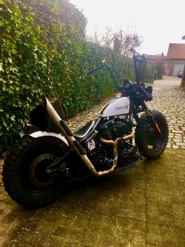 Harley Davidson Evo, early shovel look a like, Particulier, Chopper