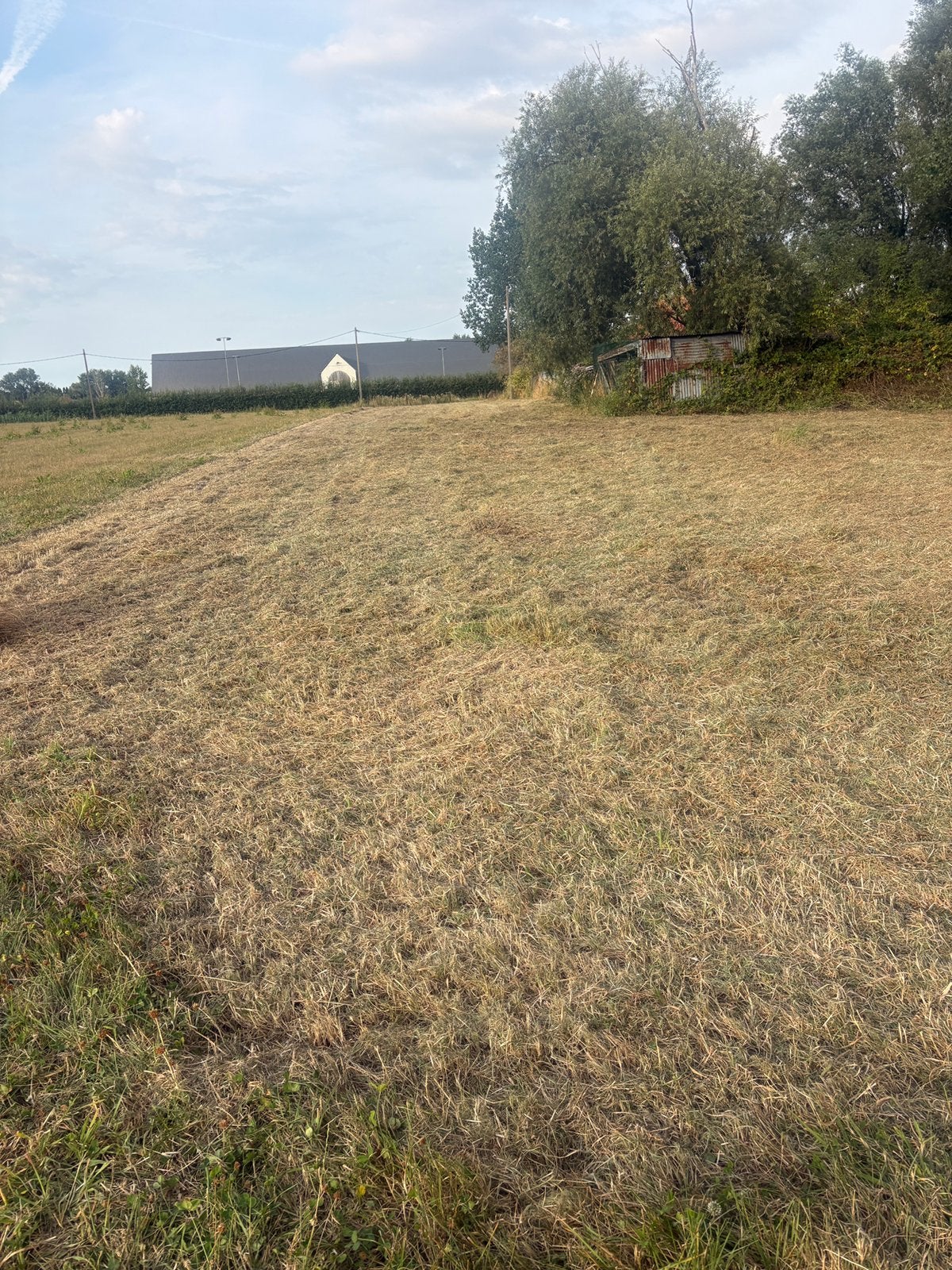 WEIDE TE HUUR, Dieren en Toebehoren, Stalling en Weidegang