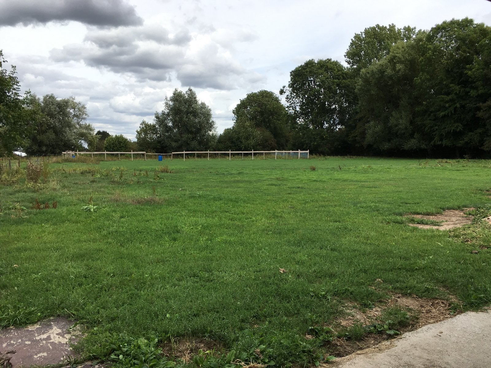 Prairie pour chevaux a louer 120 €, Animaux & Accessoires