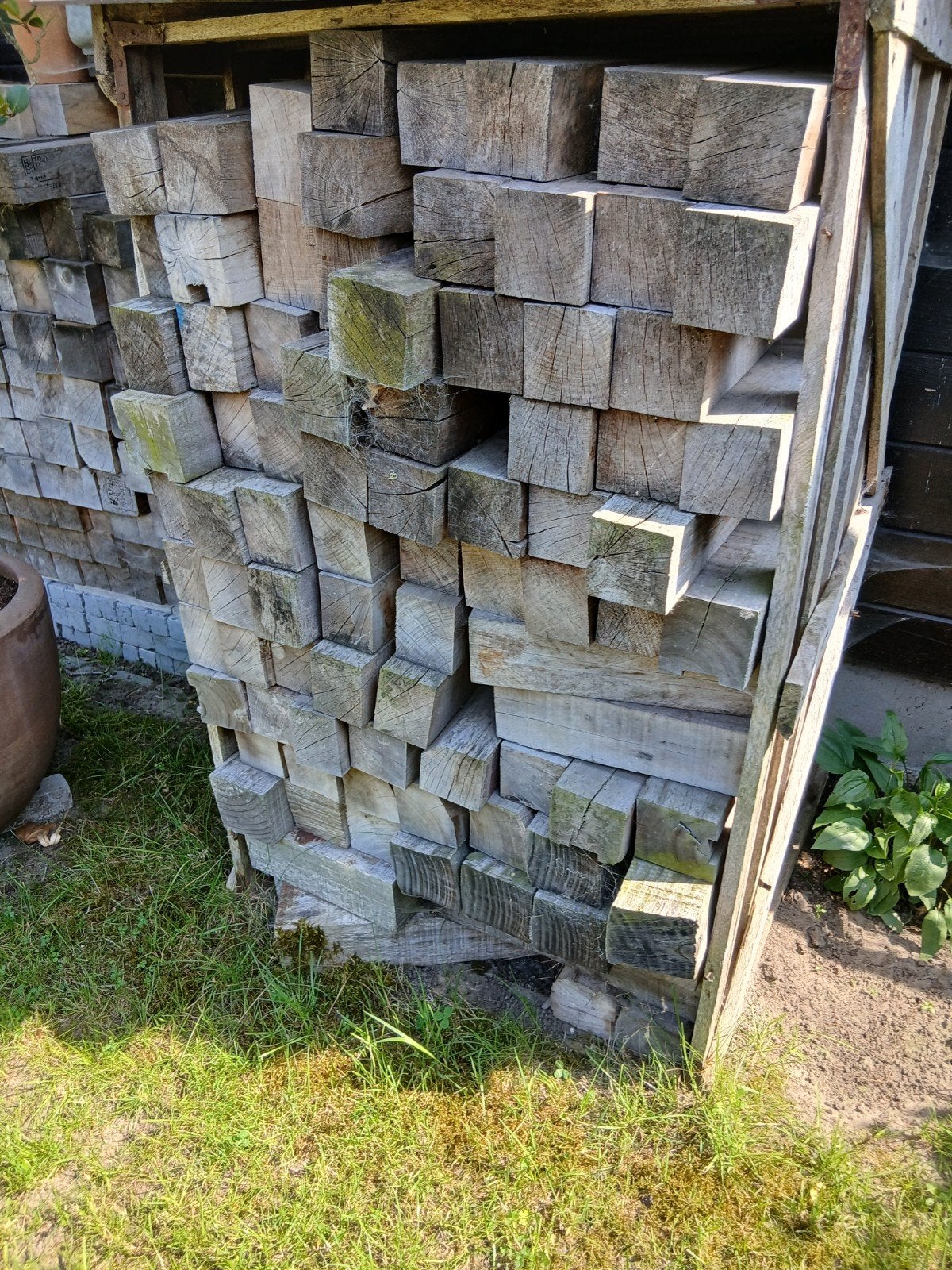 Hard hout, Ophalen, Hout