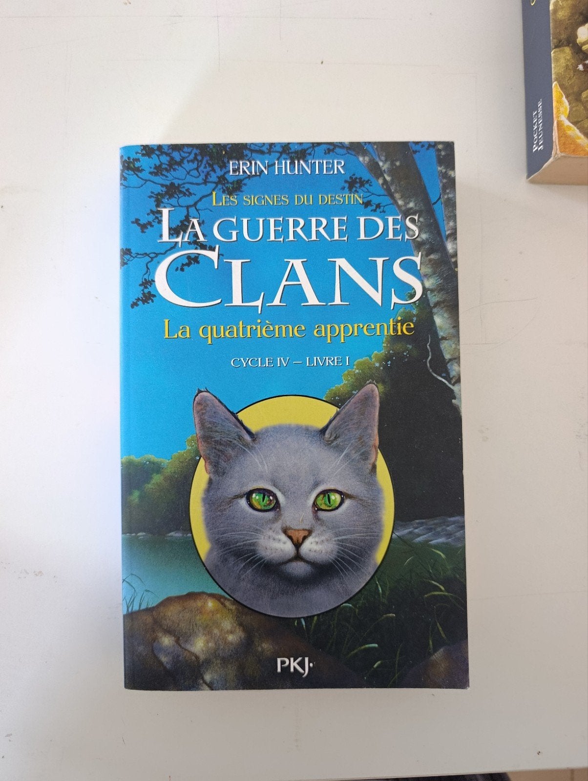 la guerre des clans, le quatrième apprentie cycle IV livre I, Livres, Enlèvement ou Envoi