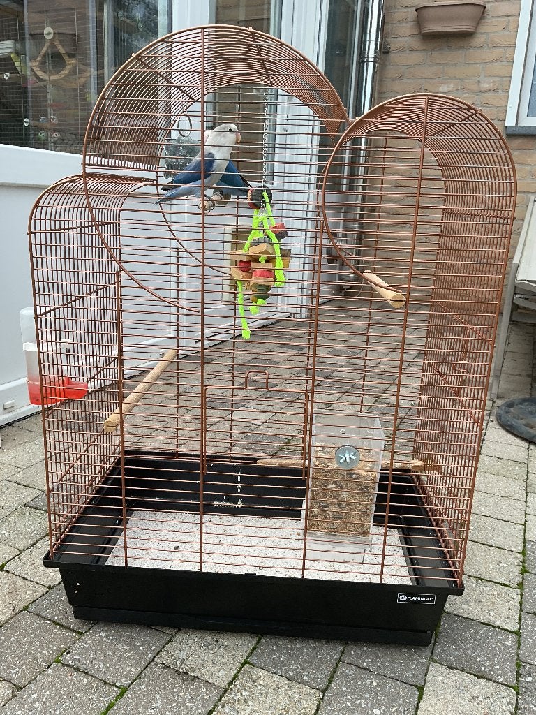 Vogelkooien, Ophalen, Gebruikt, Metaal, Vogelkooi