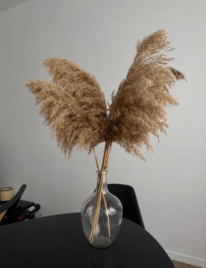 Vaas met pampas, Huis en Inrichting, Ophalen, Zo goed als nieuw