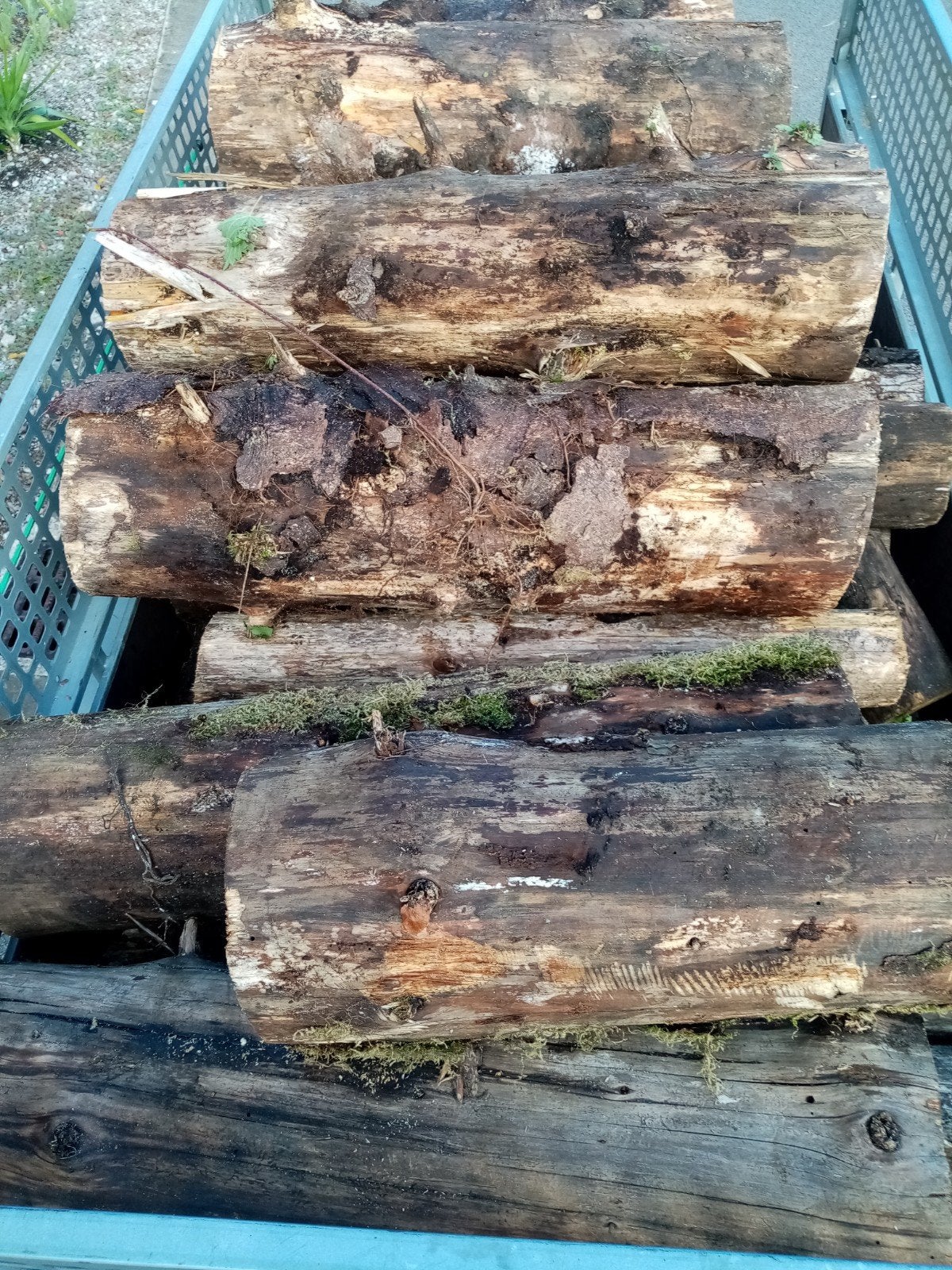 Bois de chauffage sec prêt à brûler, Jardin & Terrasse, Enlèvement