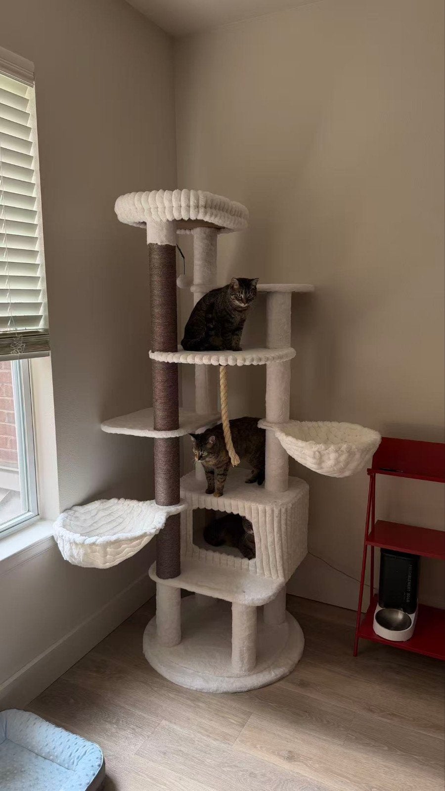 Luxe XXL Kattenkrabpaal 188 cm – Extra Groot – Voor Meerdere, Dieren en Toebehoren, Ophalen of Verzenden, Krabpaal