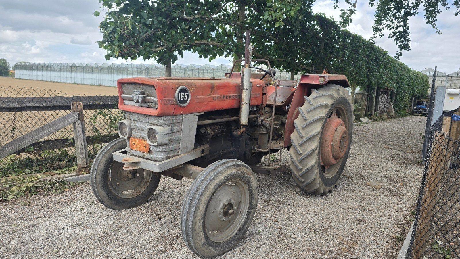 massey ferguson 165, Zakelijke goederen, Landbouw | Tractoren, Ophalen of Verzenden, Oldtimer, Massey Ferguson