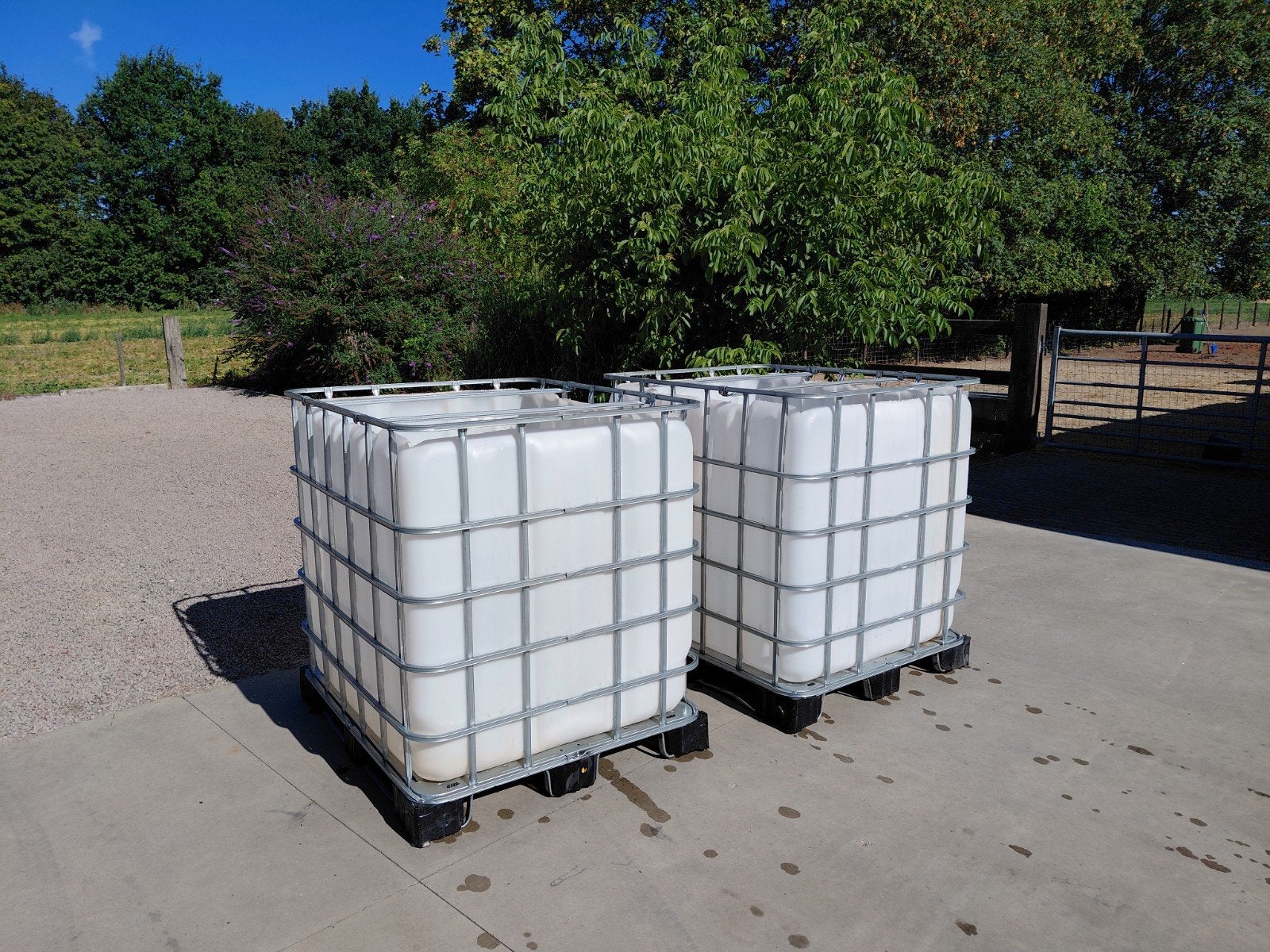 propere IBC containers, Tuin en Terras, Regentonnen, Ophalen