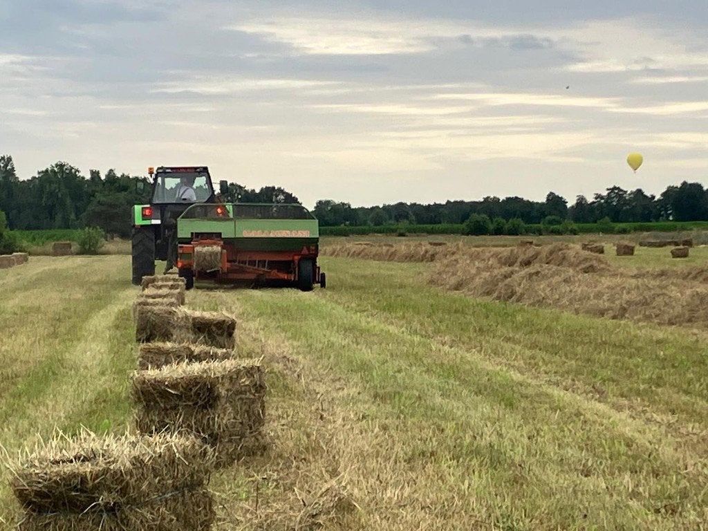 Kleine pakken Hooi, Ophalen, Vee