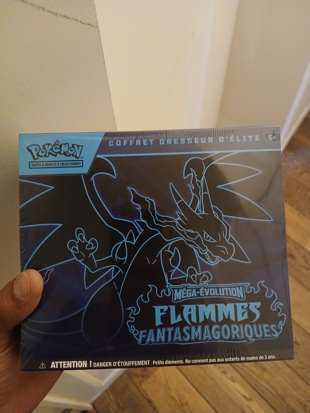 Etb flammes fantasmagoriques sceller, Enlèvement