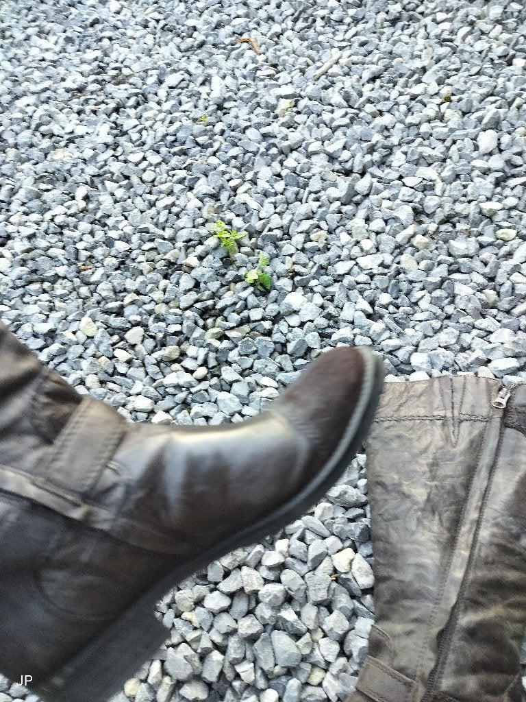 Dameslaarzen halfhoog, Kleding | Dames, Regenlaarzen, Grijs, Gedragen, Ophalen