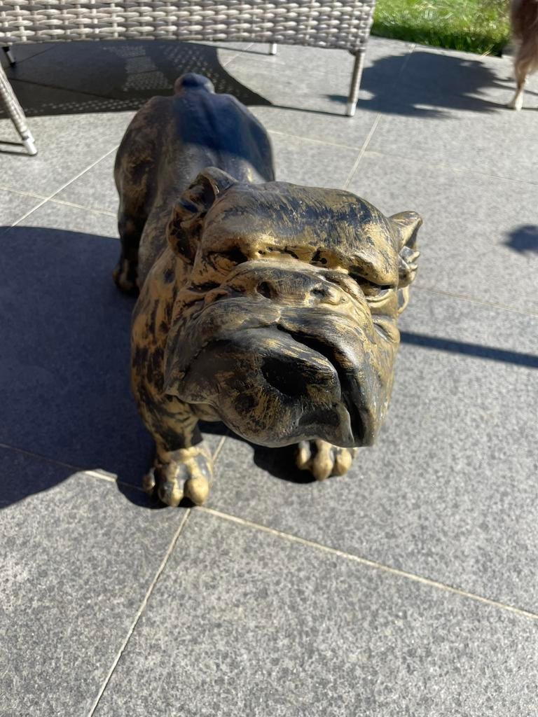 Bulldog beeld decoratie zwart/goud, Ophalen, Zo goed als nieuw, Kunststof, Dierenbeeld