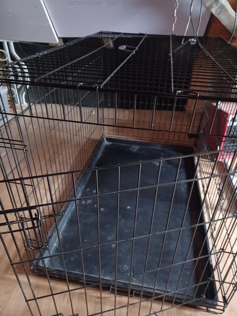 Hondenkennel xxl, Animaux & Accessoires, Maisons pour chiens, Enlèvement, Chenil chien