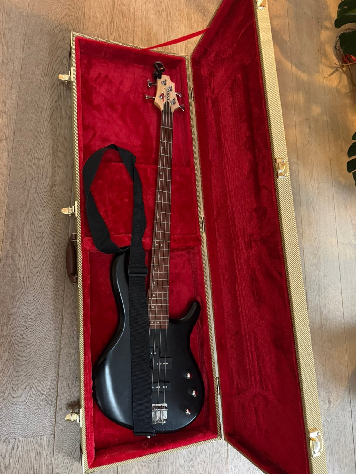 Basgitaar, versterker, staander en flightcase, Muziek en Instrumenten, Ophalen, Zo goed als nieuw