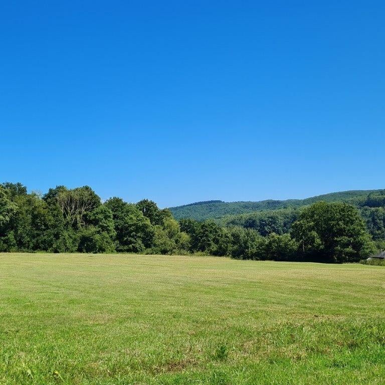 Agimont - Hastière : belles parcelles de +/- 55 ares., Agimont - Hastière, 1500 m² ou plus