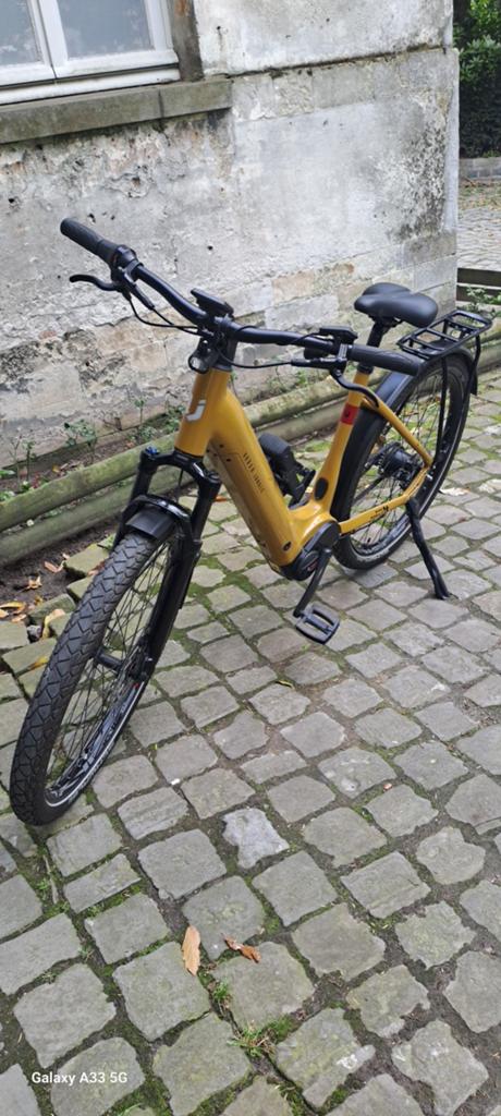Vélo électrique URBAN JUNGLE 1.0 GINZA, Enlèvement