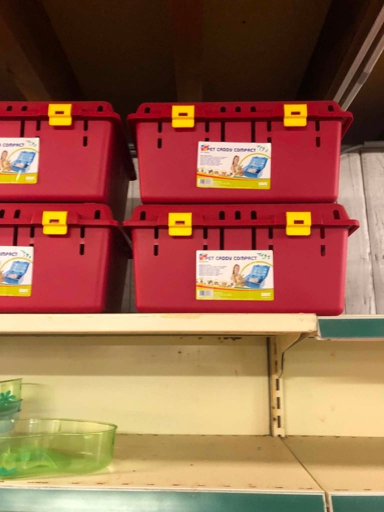 paarde gerief, Dieren en Toebehoren, Paardrijkleding, Ophalen, Zo goed als nieuw, Dames