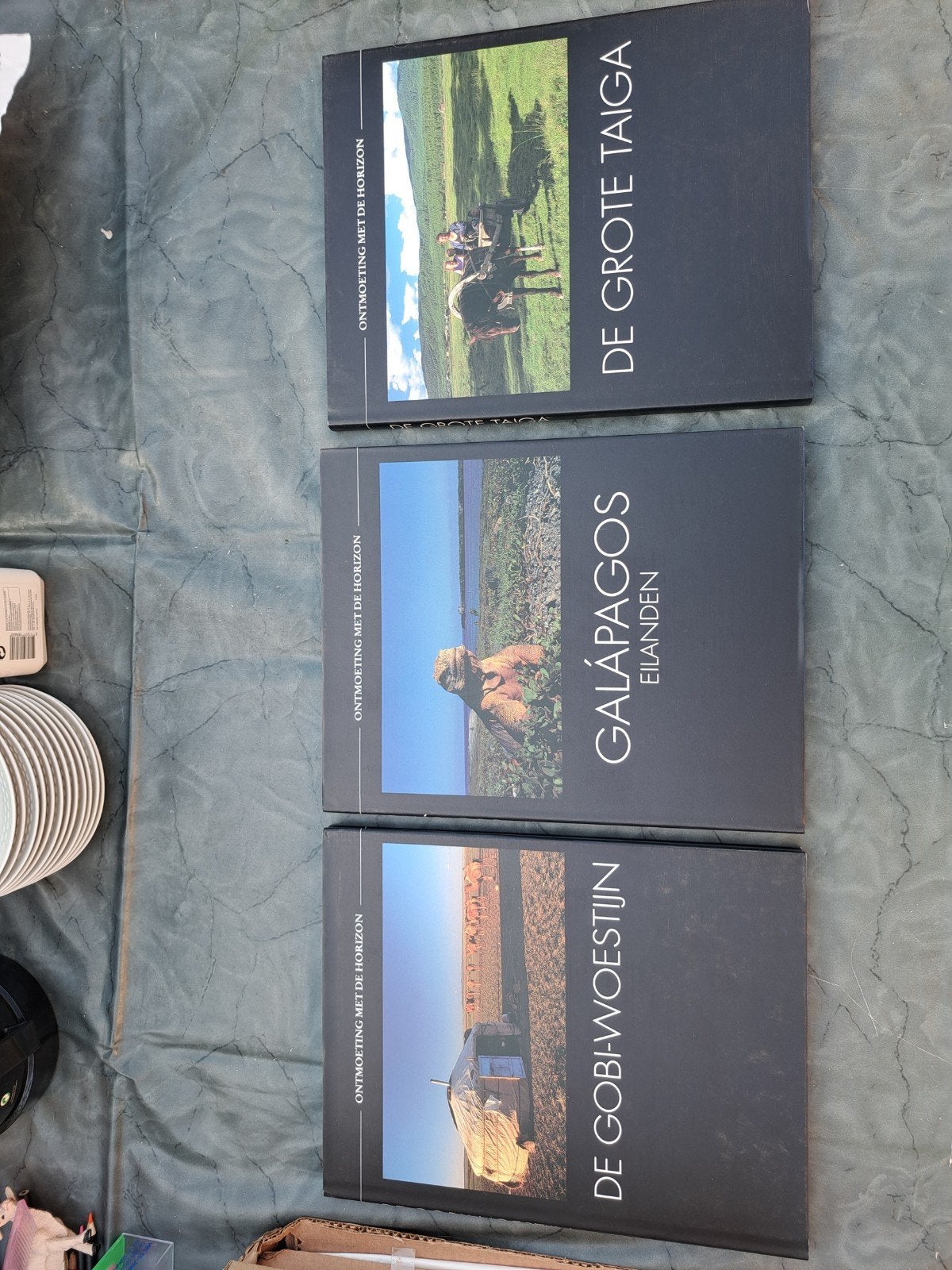 ontmoeting met de horizon, Boeken, Ophalen, Zo goed als nieuw