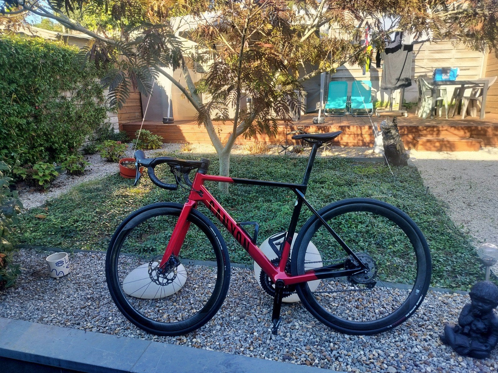 canyon Ultimate cf Sl7 Maat Medium, 53 à 57 cm, Enlèvement, Utilisé, Carbone